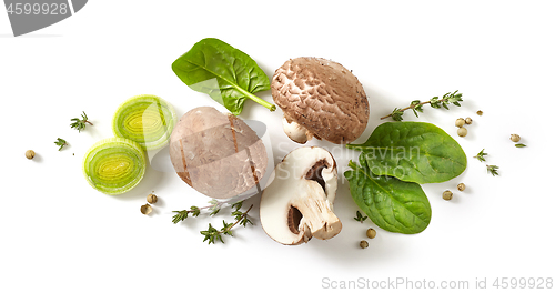 Image of composition of fresh mushrooms on white background