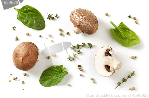 Image of composition of fresh mushrooms on white background