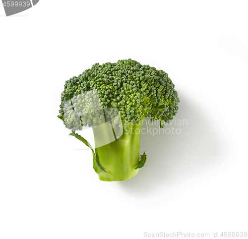 Image of fresh raw broccoli