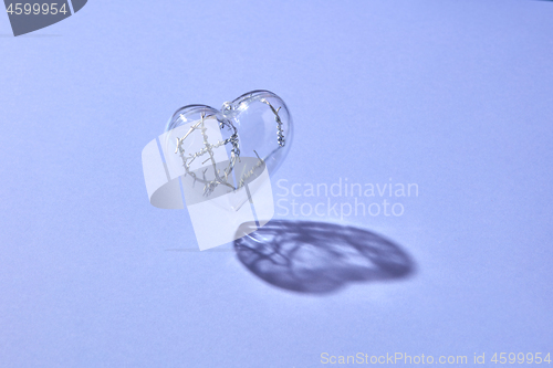 Image of Floating clear heart with twisted wire inside.