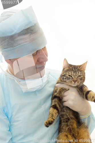 Image of Veterinarian in a sterile disposable clothes with a kitten in his hands