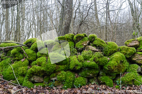 Image of Ancient mossy green stonewall