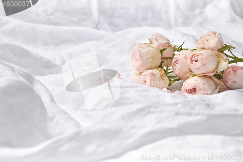 Image of Roses flowers on crumpled sheets.