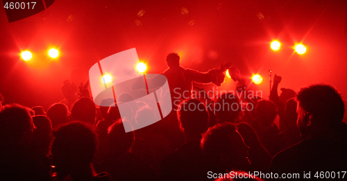 Image of Musicians performing in front of cheering crowd