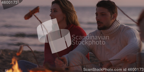 Image of Group Of Young Friends Sitting By The Fire at beach