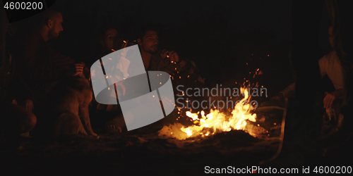 Image of Couple enjoying with friends at night on the beach