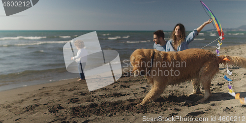 Image of Young family enjoying vecation during autumn