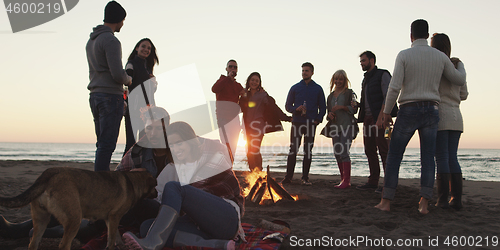 Image of Friends having fun at beach on autumn day