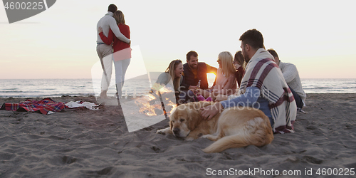 Image of Friends Relaxing At Bonfire Beach Party