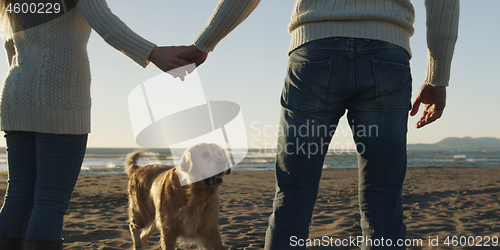 Image of couple with dog having fun on beach on autmun day