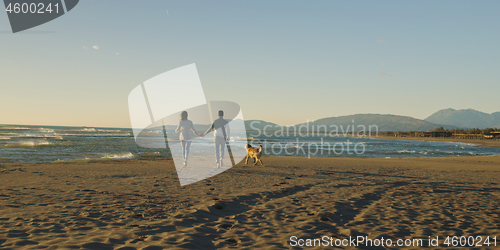 Image of couple with dog having fun on beach on autmun day