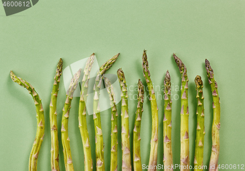 Image of fresh asparagus on green background