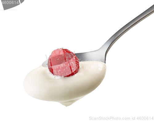 Image of spoon of yogurt cream with raspberry