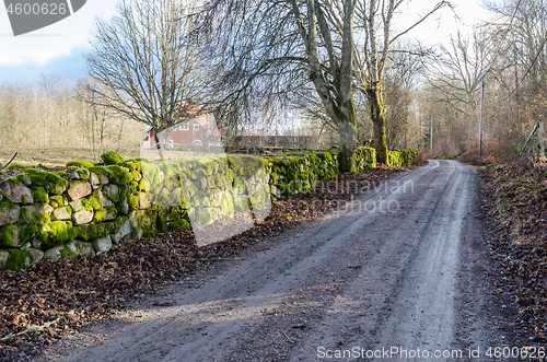 Image of Dirt road by a mossy dry stone wall