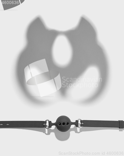Image of Shadows of cat mask and ball gag.