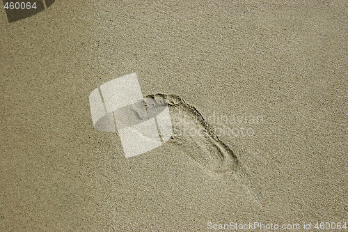 Image of footprint in the sand