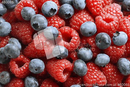 Image of Close-up of fresh mixed berries