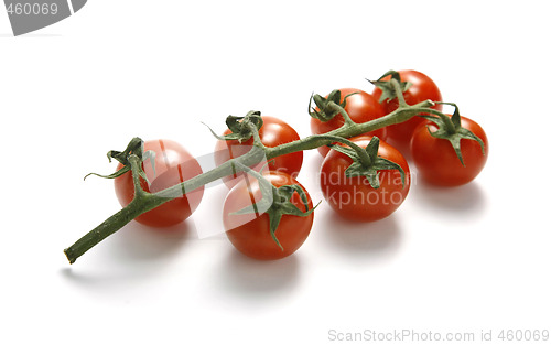 Image of Tomatoes on white