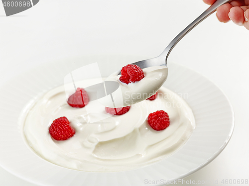 Image of spoon of greek yogurt with raspberry