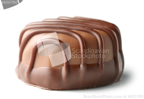 Image of chocolate praline on white background