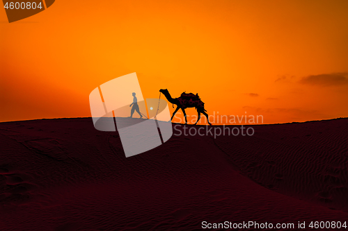 Image of Cameleers, camel Drivers at sunset. Thar desert on sunset Jaisal