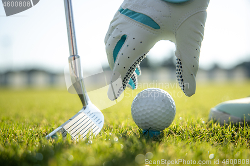 Image of Hand in glove placing golf ball on tee