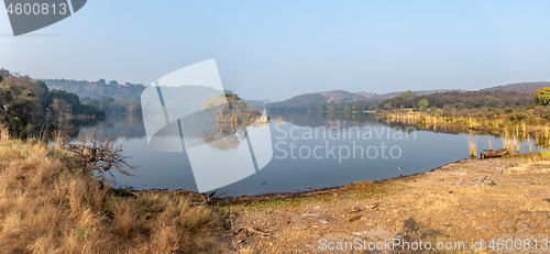 Image of Jungle India. Ranthambore National Park Rajasthan India. Beautif