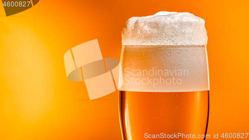 Image of Lager beer settles in the glass with a white cap of foam