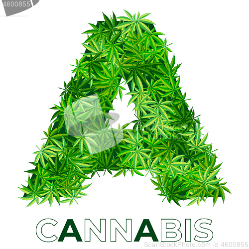 Image of Cannabis Hemp Leaf Logo