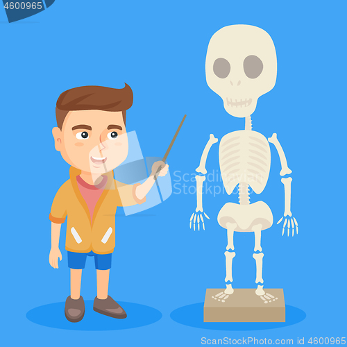 Image of Caucasian schoolboy studying the human skeleton.