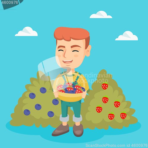 Image of Boy with the basket of strawberry and blueberry.