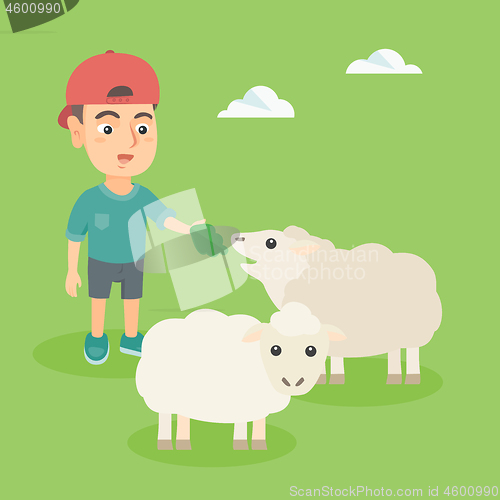 Image of Little caucasian boy feeding a sheep with salad.
