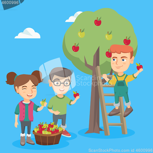 Image of Children harvesting apples in apple orchard.