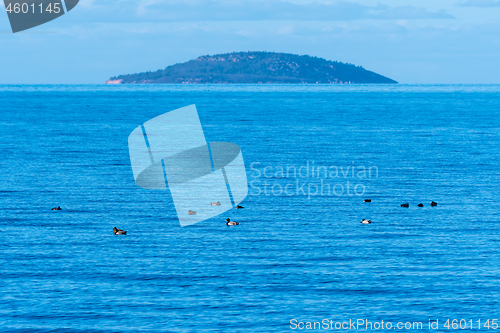 Image of Beautiful Blue Island