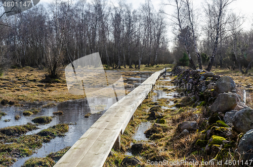 Image of Wooden footpath crossing a wetland