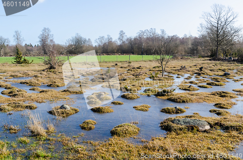 Image of Tufted rural landscape by spring season