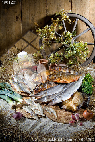 Image of Still Life With Fish In Retro Style