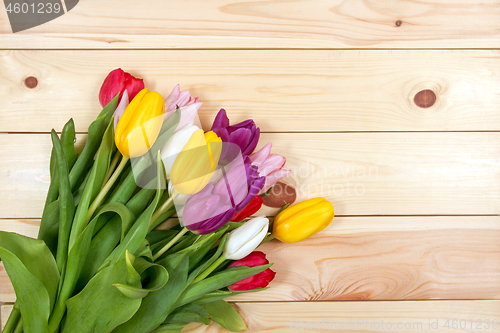 Image of Tulips flowers background