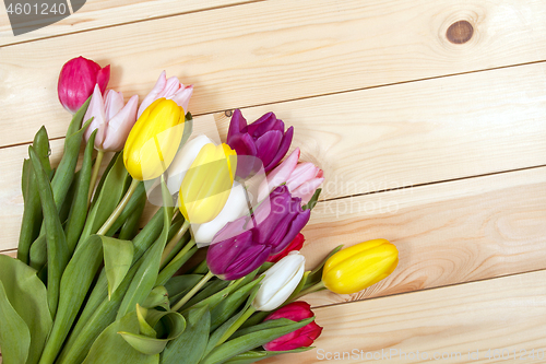 Image of Tulips flowers background