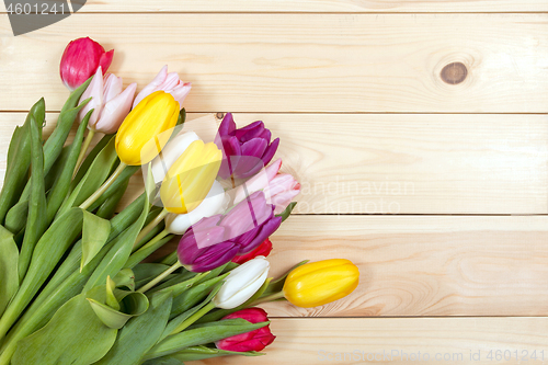 Image of Tulips flowers background