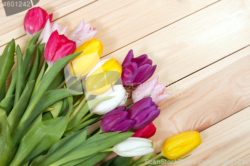 Image of Tulips flowers background