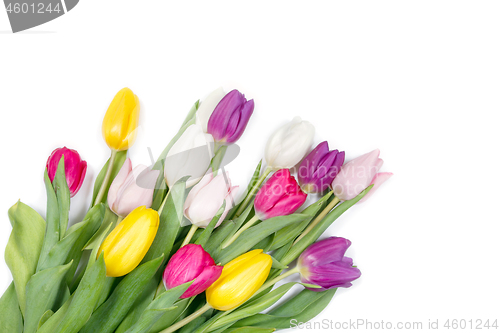 Image of Tulips flowers background