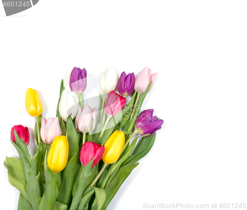 Image of Tulips flowers background