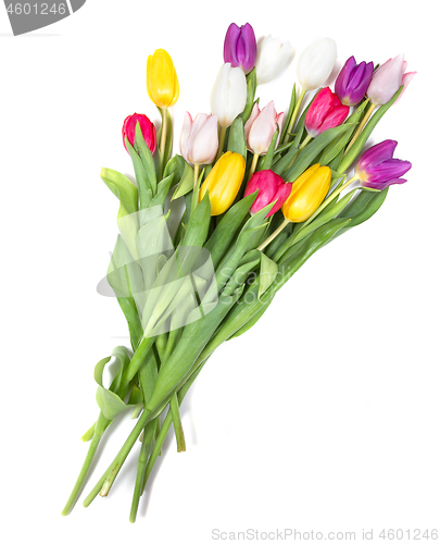 Image of Tulips flowers background