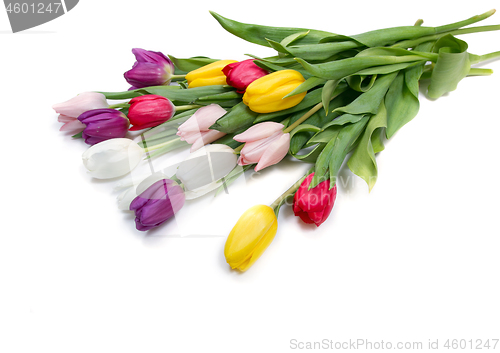 Image of Tulips flowers background