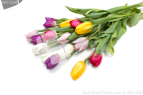 Image of Tulips flowers background