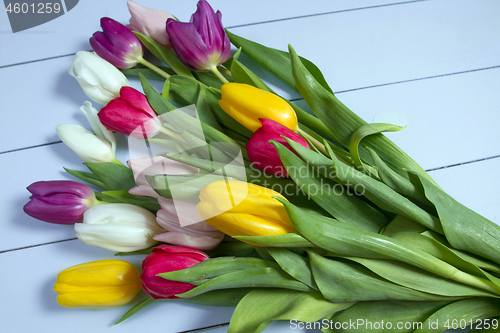 Image of Tulips flowers background