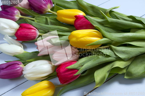 Image of Tulips flowers background