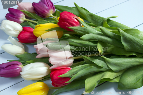 Image of Tulips flowers background