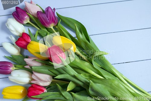 Image of Tulips flowers background